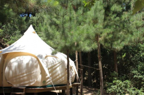 Glamping de Matanzas